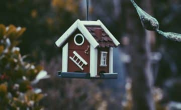 photo 1490197415175 074fd86b1fcc