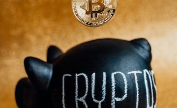 pexels photo 6780838