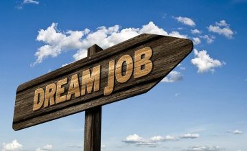 dream job 2
