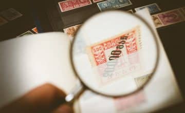 pexels pixabay 247801