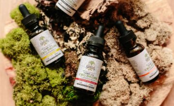 pexels tree of life seeds 3259584