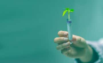 plant gacb187551 1920