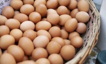 close up eco eggs groceries