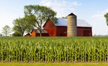 farm landscape with barn 1600