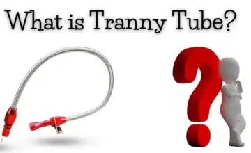What is Tranny Tube 1024x576 1
